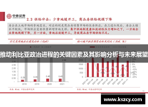 推动利比亚政治进程的关键因素及其影响分析与未来展望
