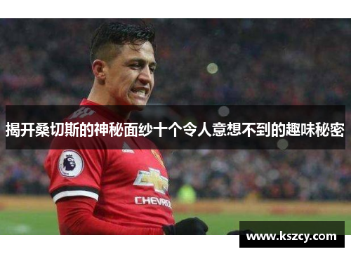 揭开桑切斯的神秘面纱十个令人意想不到的趣味秘密